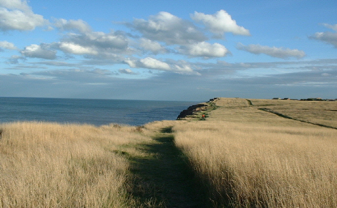Aldbrough Cliffs