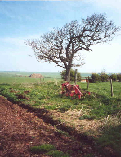 View towards Mappleton