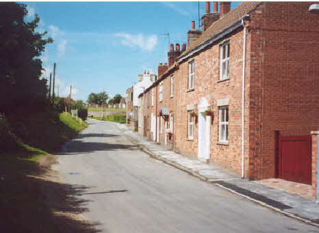 Looking up Seaside Road